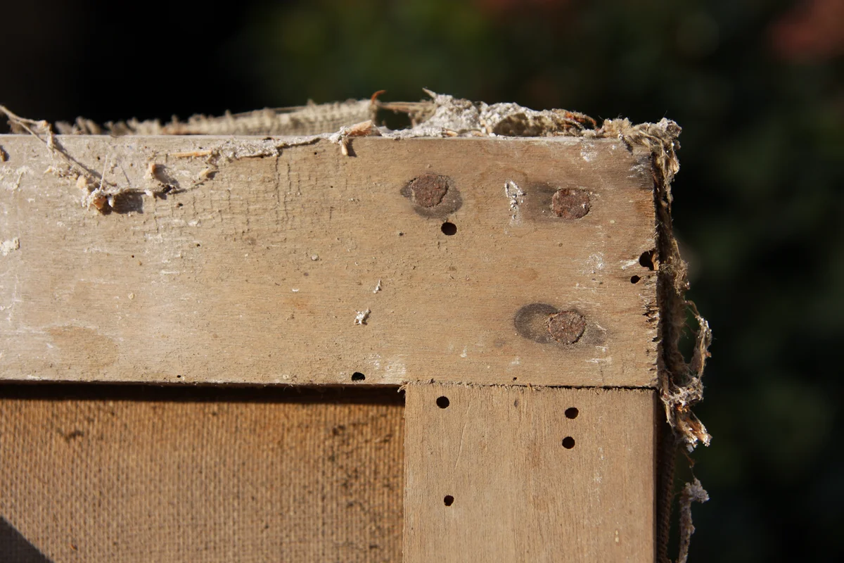 Châssis ancien présentant des galeries de xylophages.